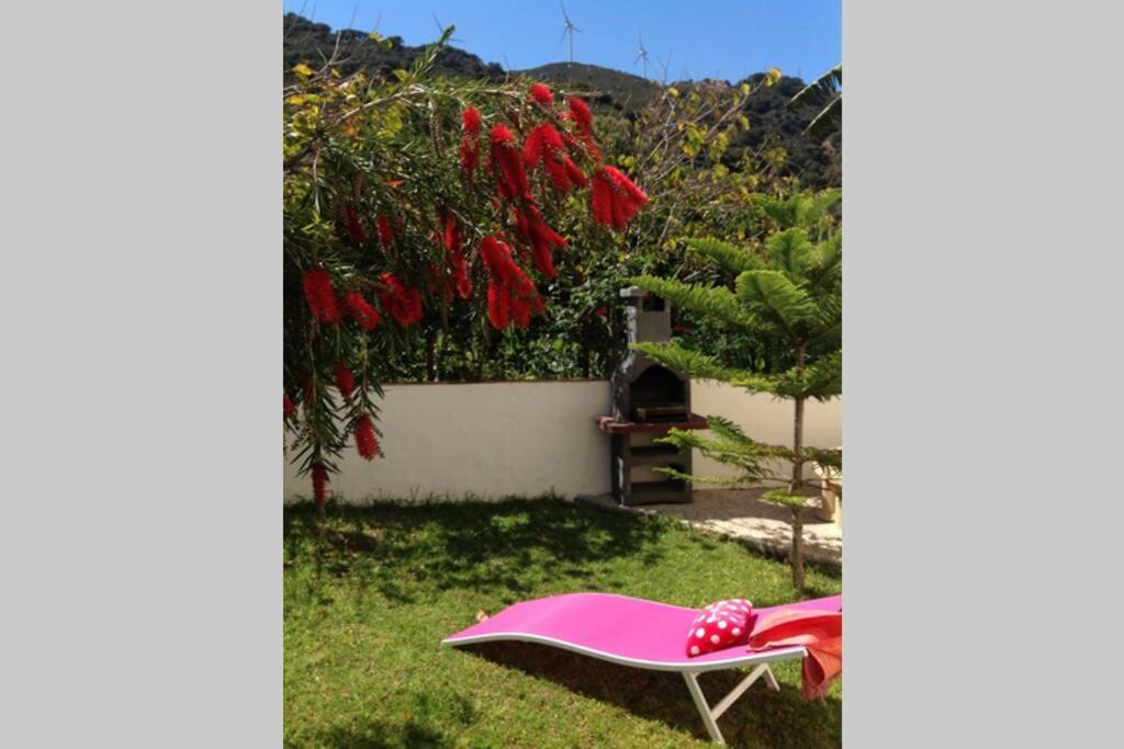 Apartment La Pena Rojo Wifi Tarifa Eksteriør billede